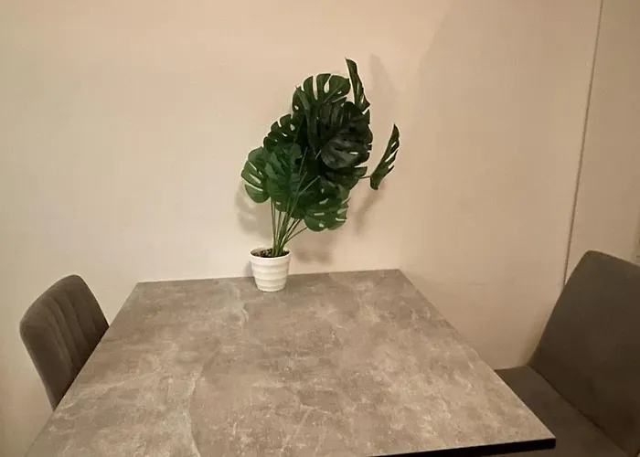 Blick Auf Den Weinberg - Mit Balkon * トリーア